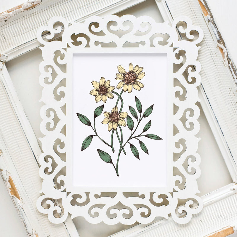 Goldfield Daisies Signed Print