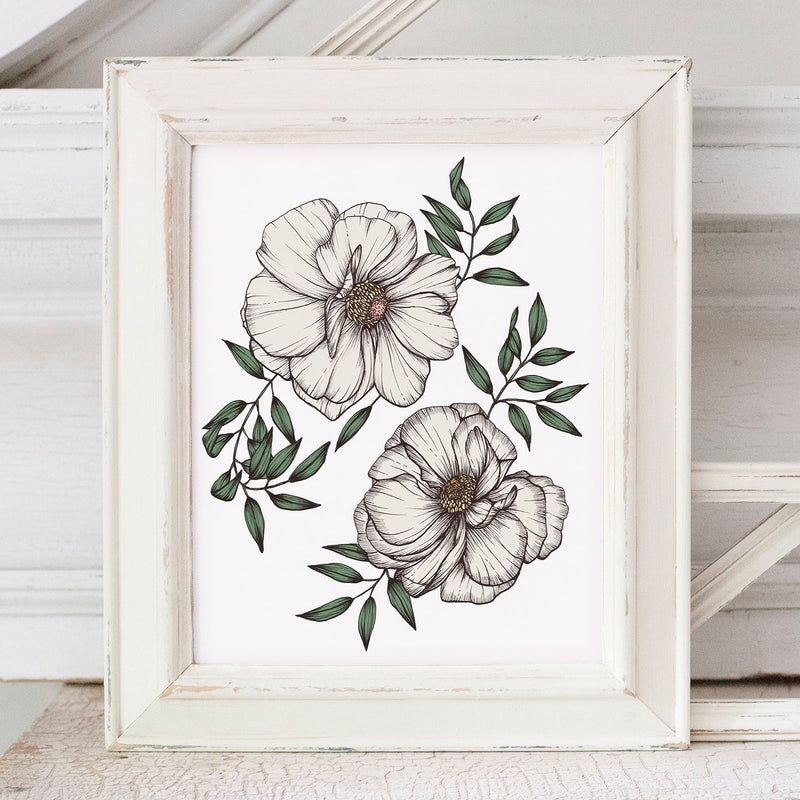 Ranunculus Signed Print