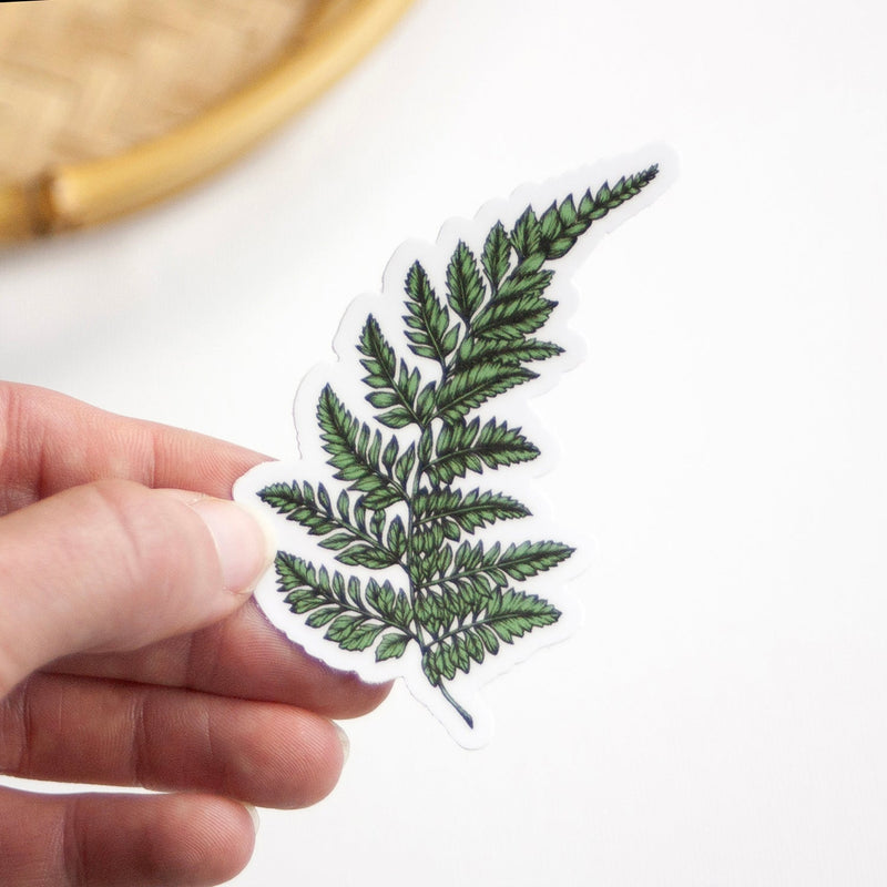 Leatherleaf Fern Vinyl Sticker 3"