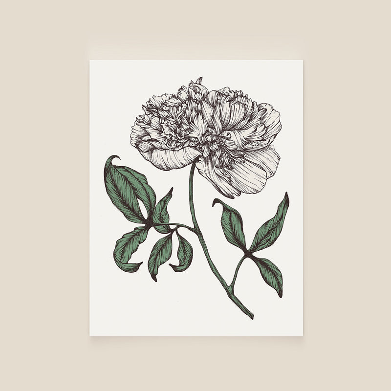 Fresh Florals Notecard Set